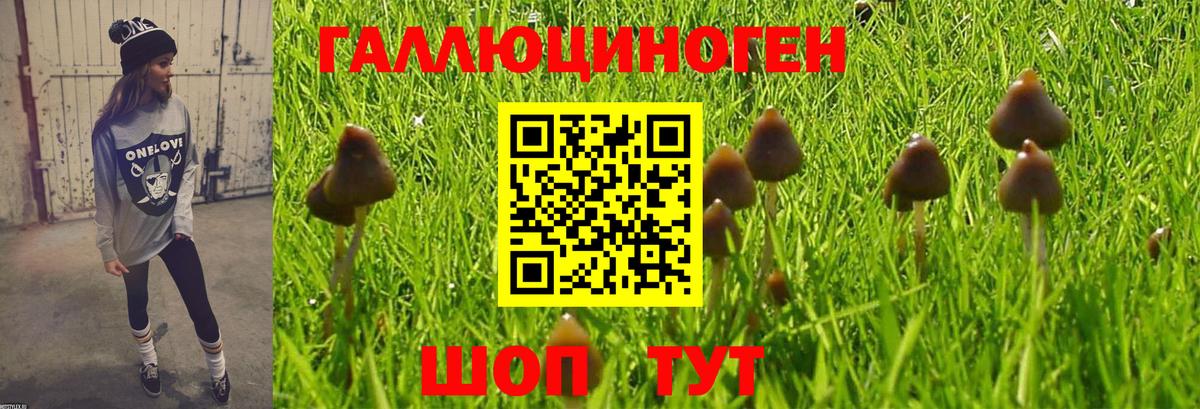 Саров  Галлюциногенные грибы Psilocybe  Псилоцибиновые грибы Magic Shrooms  сколько стоит  Вход с VPN 